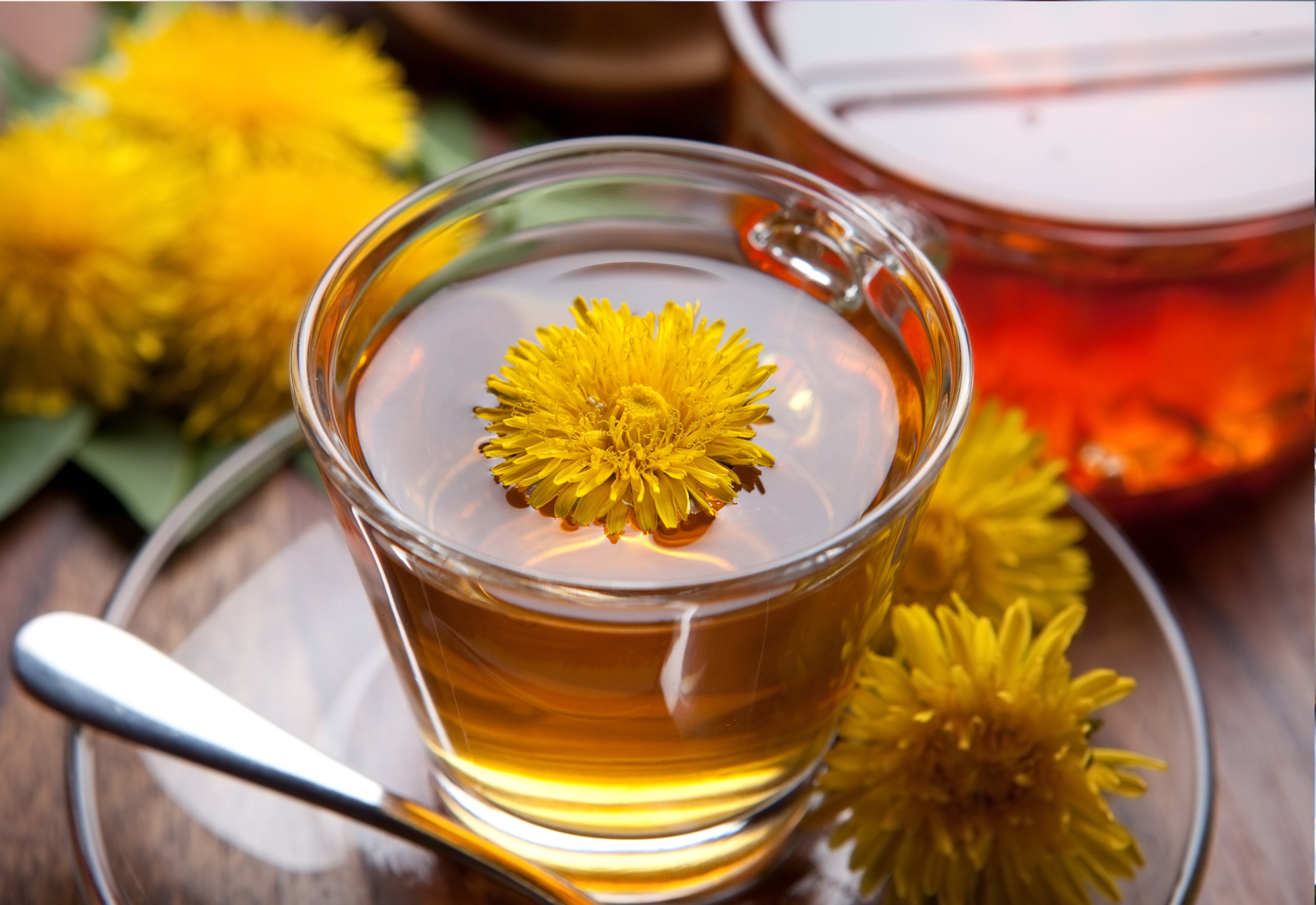 Health Benefits Of Tea Premium Relcha Tea Blends Health Benefits Of Tea Premium Relcha Tea Blends