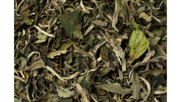 China Pai Mu Tan White Tea