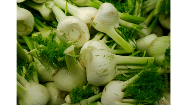 Fennel
