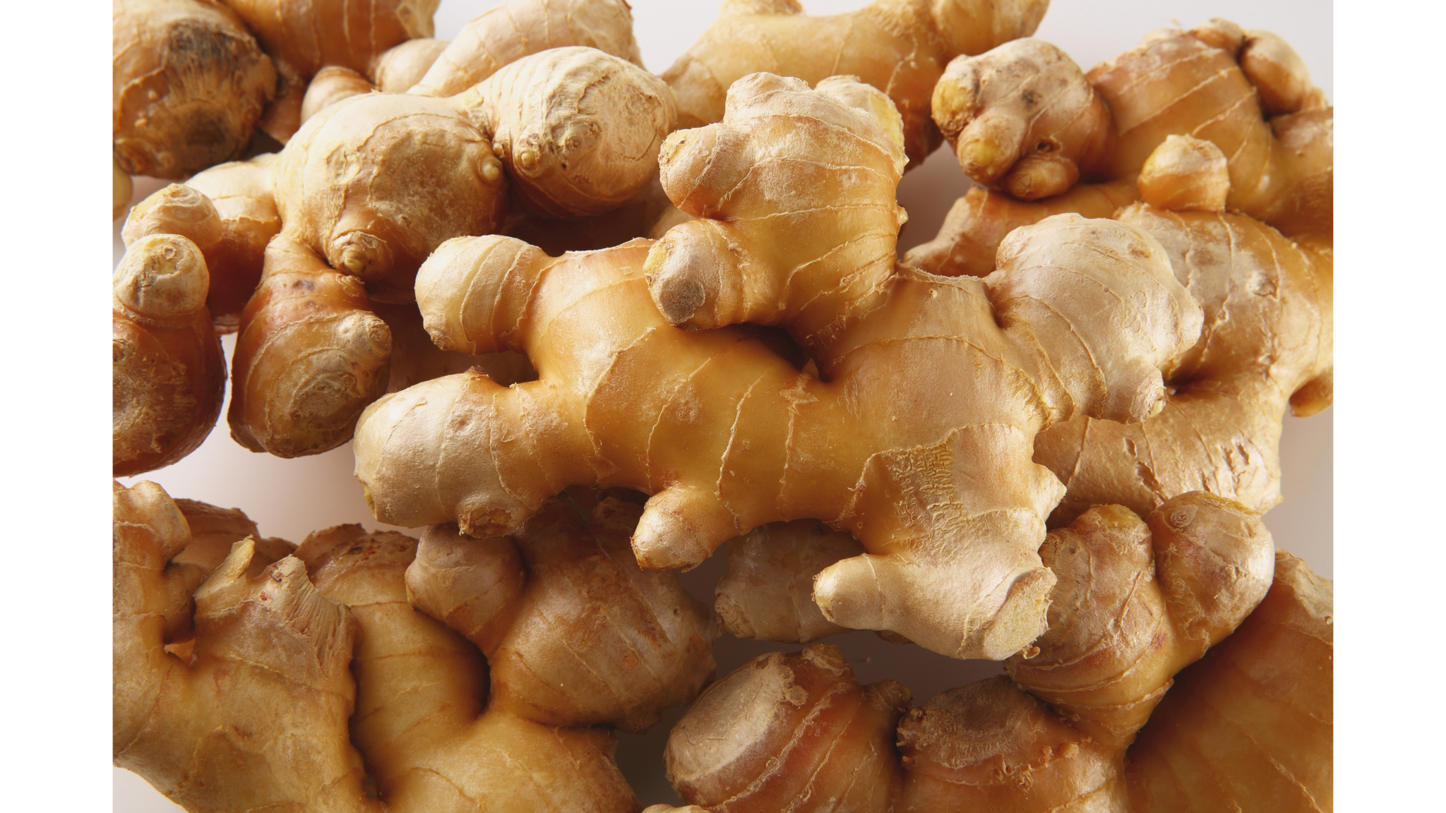 
                  
                    Close-up of ginger roots on a white background Relcha Tea
                  
                