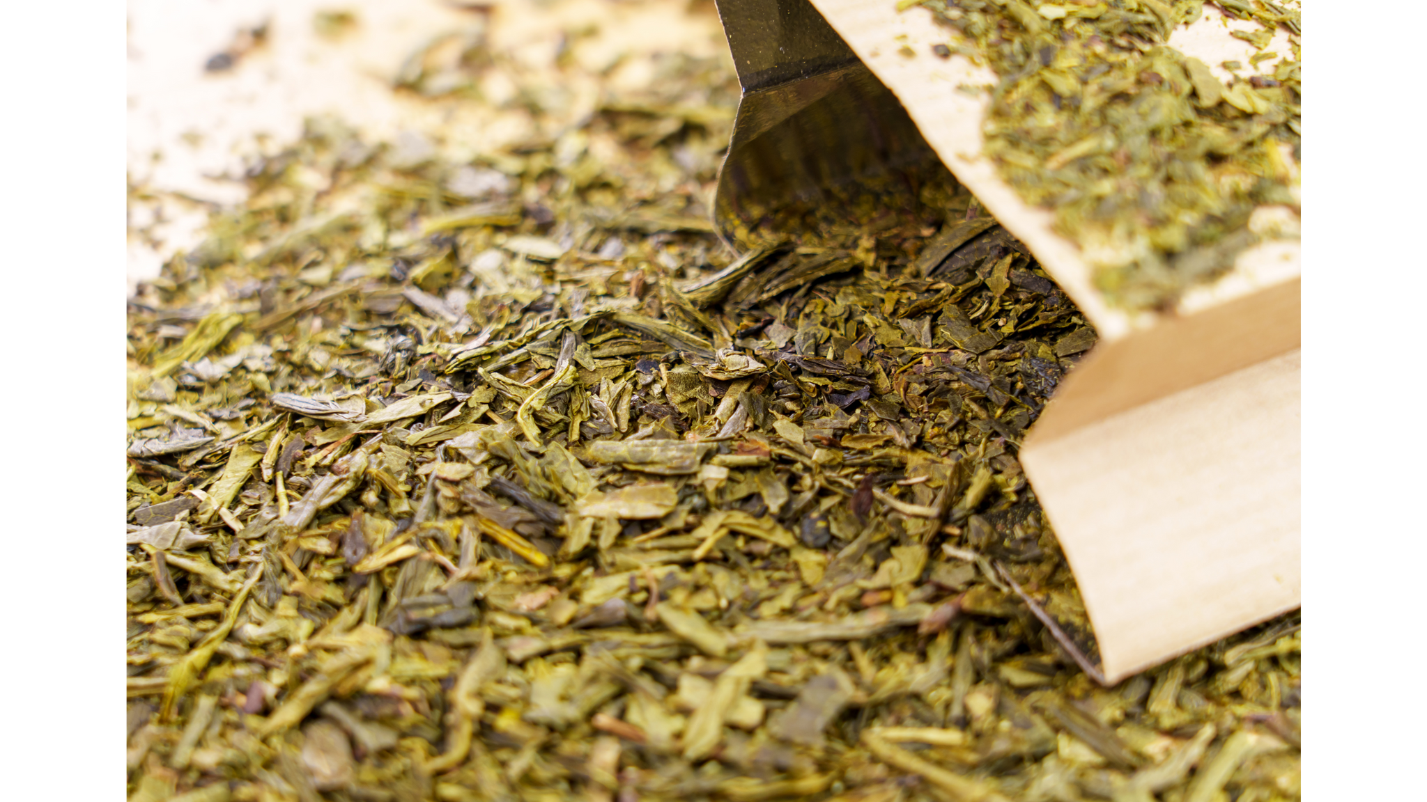 
                  
                    green tea sencha relcha teas 
                  
                