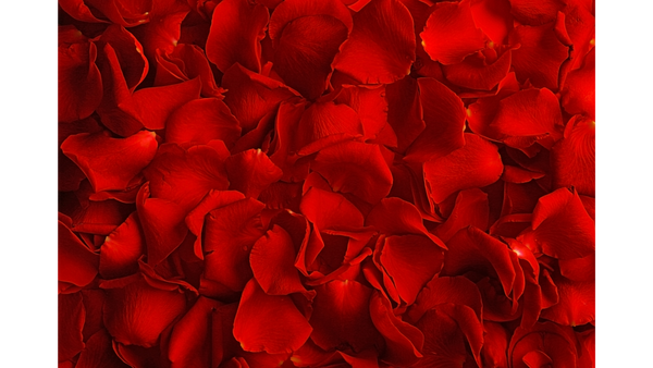 Rose Petals
