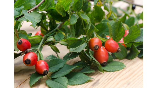 Rosehip  peel