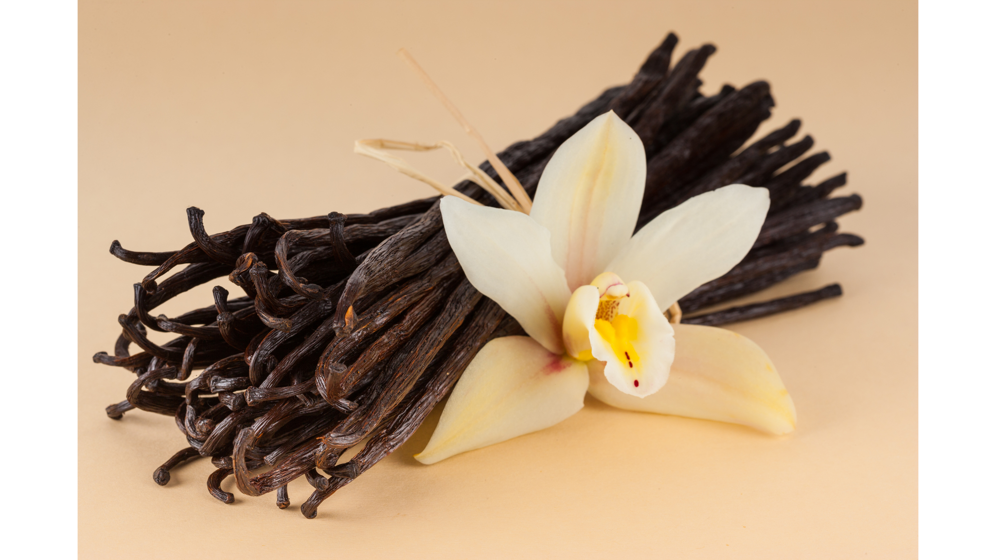 
                  
                    Vanilla beans with a vanilla flower on a beige background Relcha Tea
                  
                
